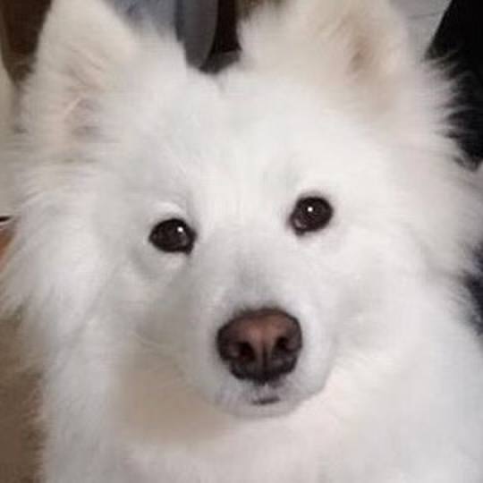 76d4b02b 0cf3 4e36 bc89 2e513a985e2c 1551518597444