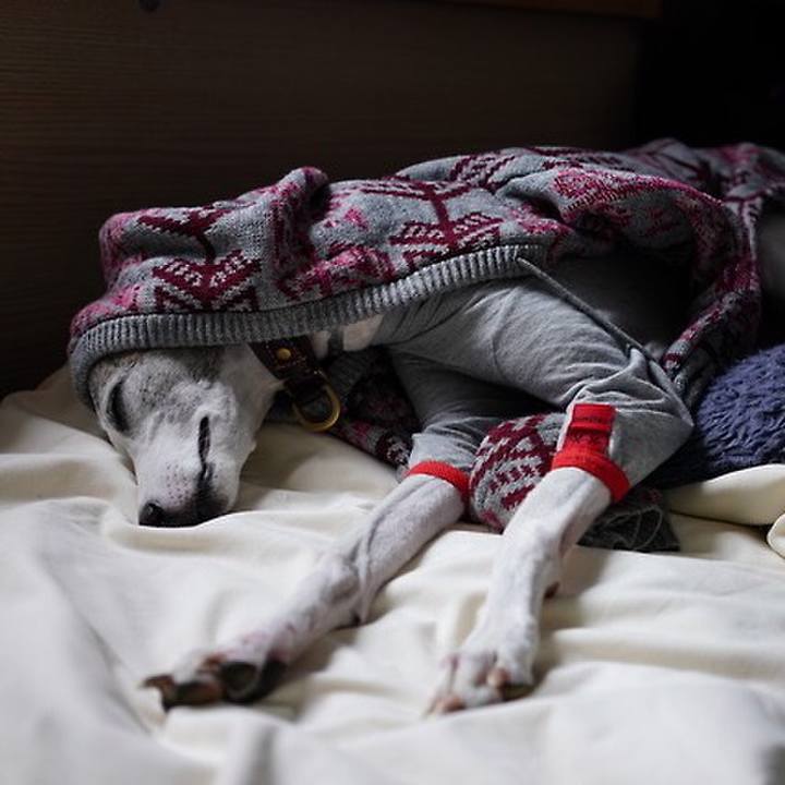 76d4b58e 81c9 41db 8614 4b739722c136 1541501365266