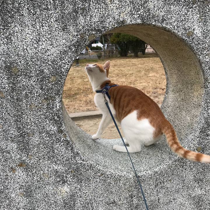 76d4e0cf 0370 408f 8365 4eb2131379da 1512385999645