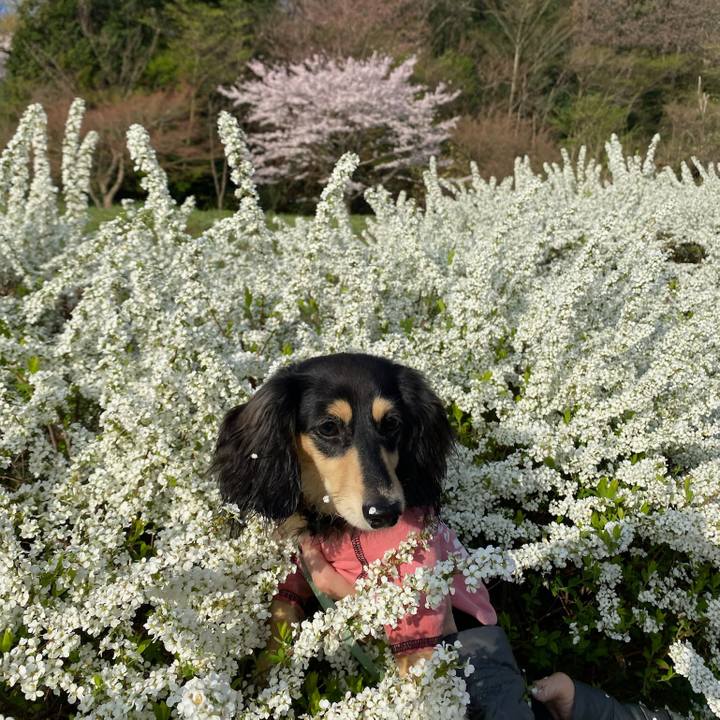 76d4e556 4b42 4933 a689 9a02634a45b7 1680051628285