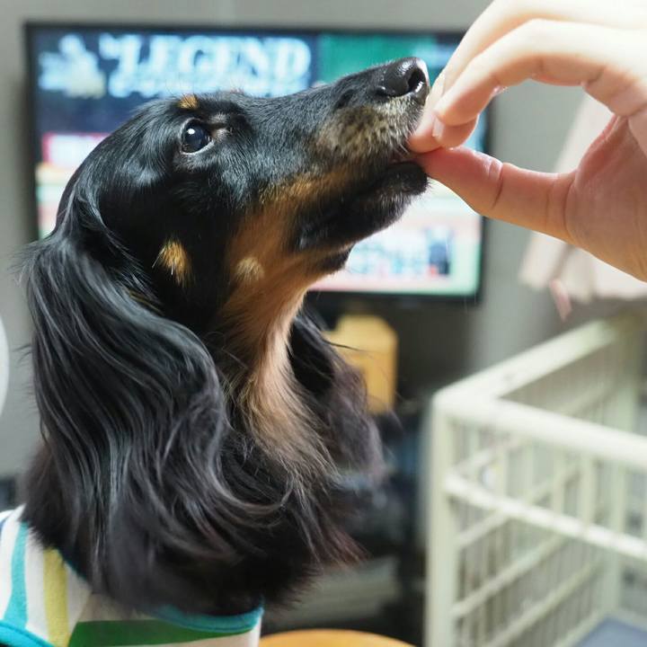 76d4f756 c401 41f2 846b ef889b97ecbc 1568443705235