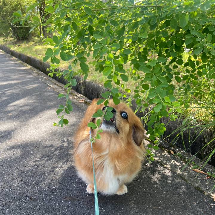 76d50504 74d2 475e b35b 51be3d8d7f06 1659225803602