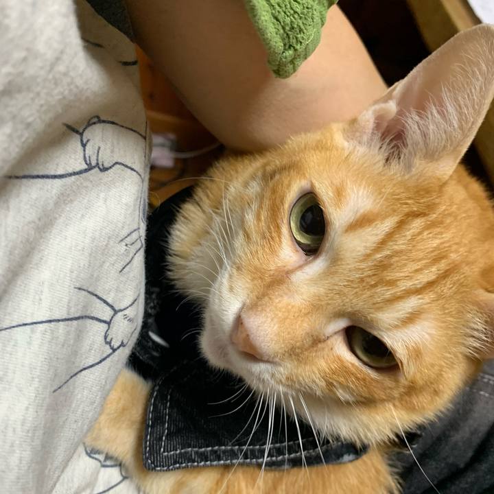 76d50f38 46d8 4bff 9c5a eef74dfbb46b 1624879812968