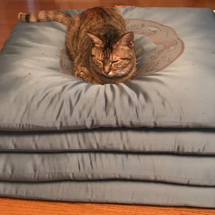 76d55953 e69d 4a98 a307 2205100f56b0 1573370853736