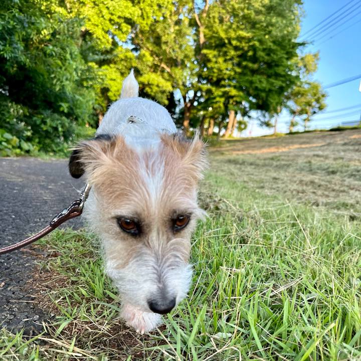 76d595a1 0bf5 4cfa 8fd1 f4f49cc2d981 1718808594129