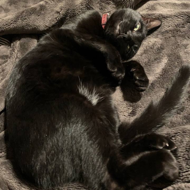 76d607f4 8112 4ddc a654 c647491e4736 1574521861076