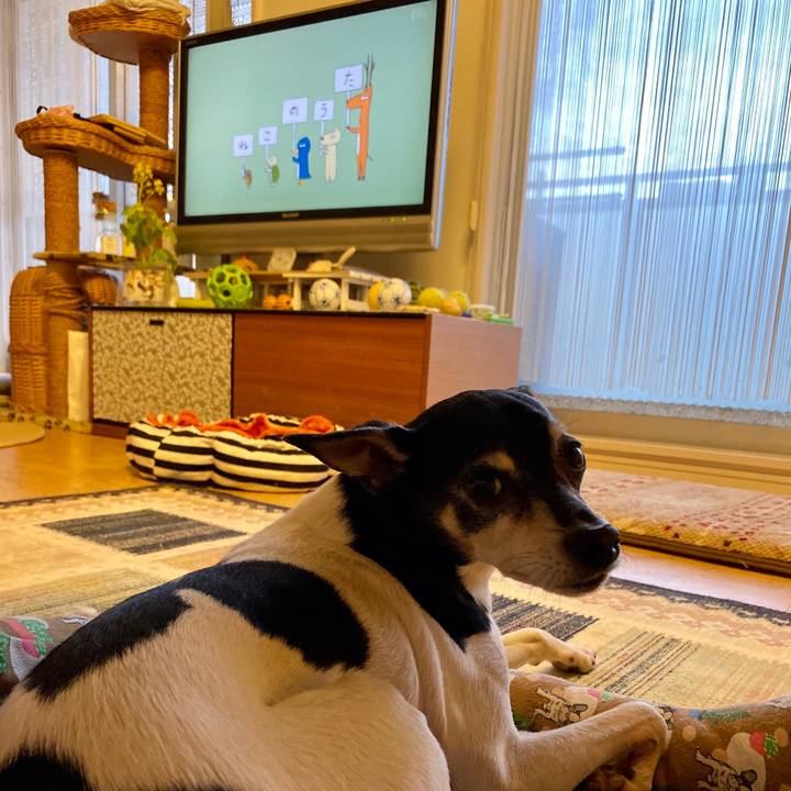 76d63a5a 79da 42fb 81c2 802958f7249e 1579645143692