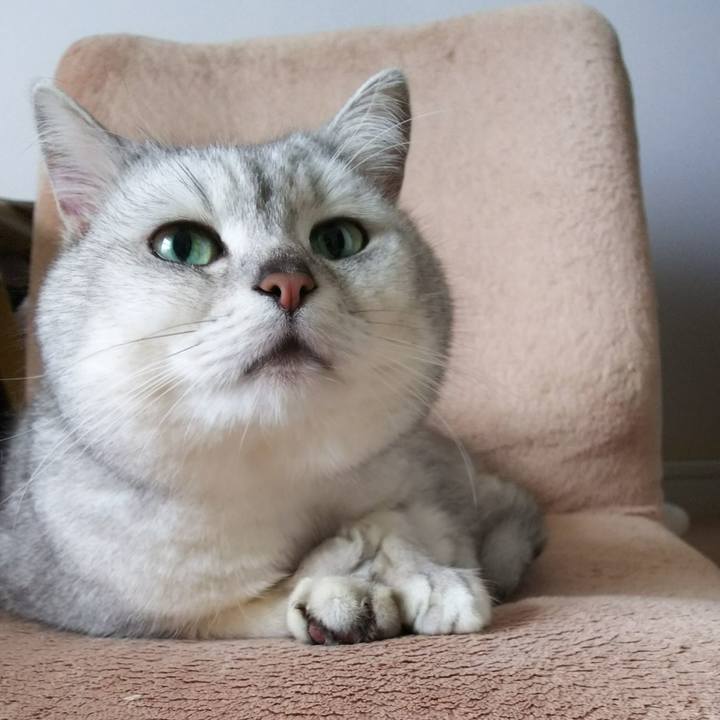 76d640d1 aff4 4823 ad24 697b73c6e421 1517375273181