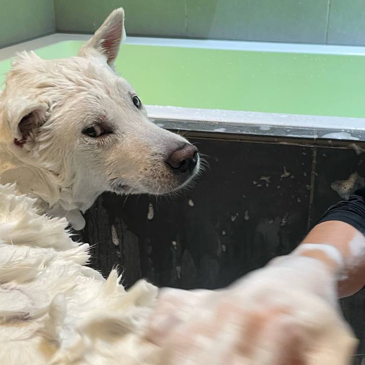 76d65a57 f5c6 4caf ad47 b2441f1e15bb 1716619077727