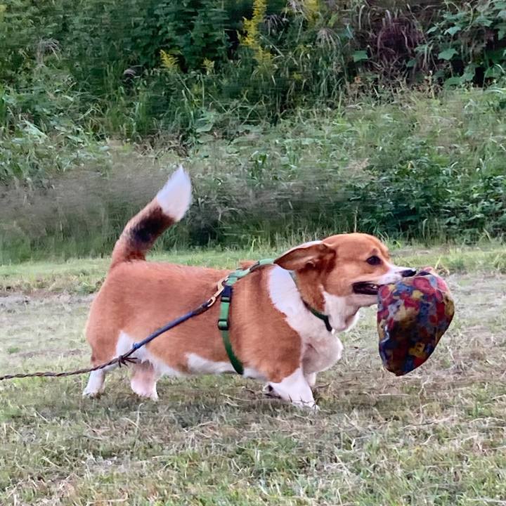 76d680c9 d015 41dd 941c 04e07a167dc8 1728953000850