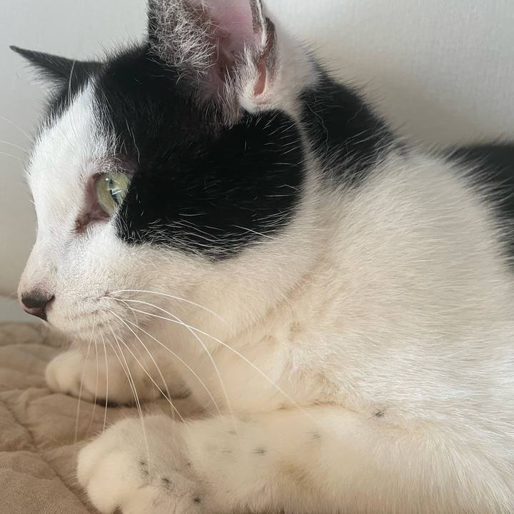 76d69551 ac31 4166 b9eb 7ebbf6c435ee 1669526184818