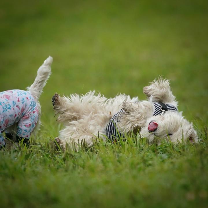 76d6a1d5 4be4 455e b0ad d2fb8cfe4e03 1527511710390