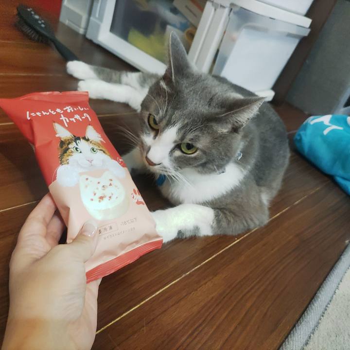 76d6f460 d3bc 4c56 bd5f 73101d2a5422 1692517857264