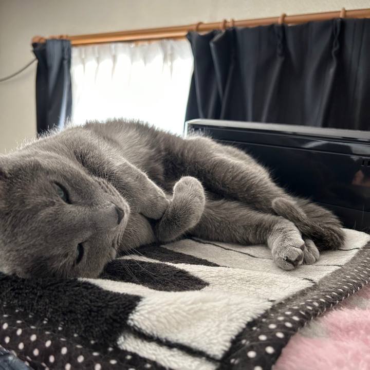 76d70267 f6a9 4811 bd38 4e4d40f25e36 1678011127636