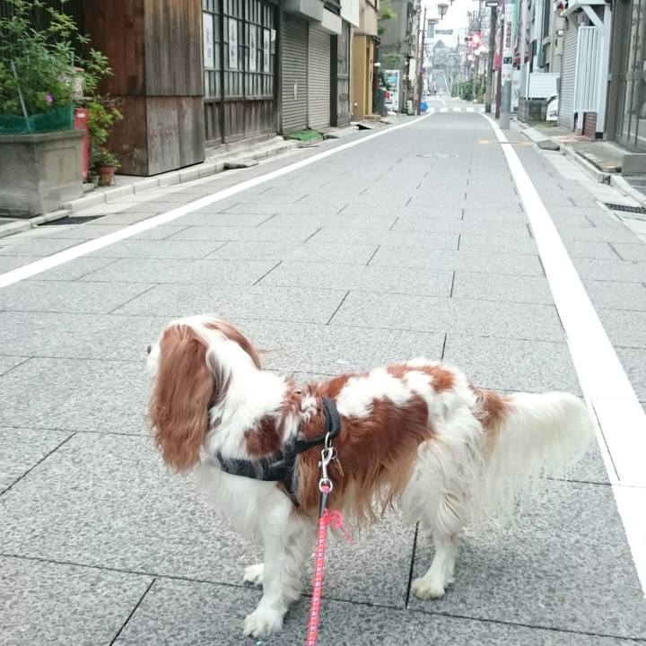 76d727b4 142d 4c08 8270 f386f701071f 1561415326146