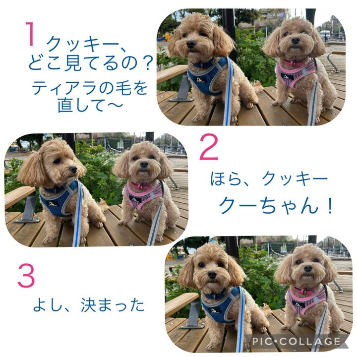 76d72d4e ab65 41cd a0f1 c0f96ba25871 1730689025559