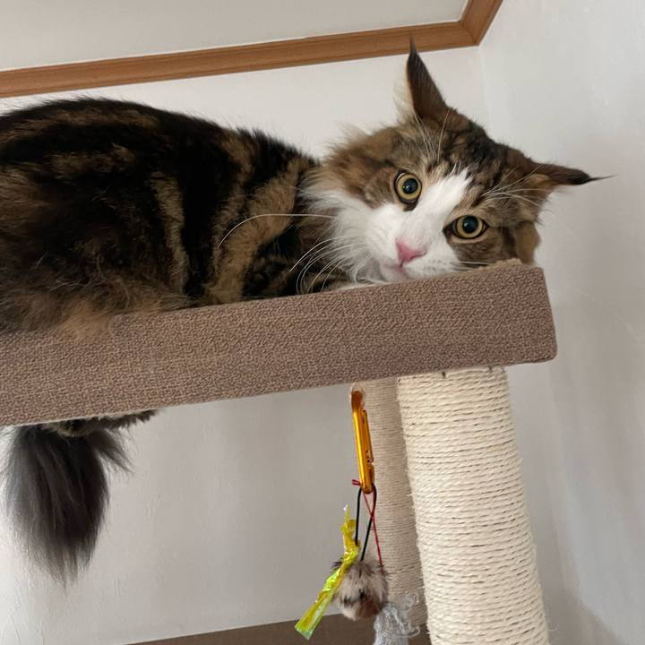 76d75138 9546 409f a2df 8f5140270b30 1653774249152