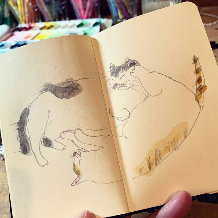 76d75b9c 8627 42c5 adaf 529a21fa0479 1641905203188