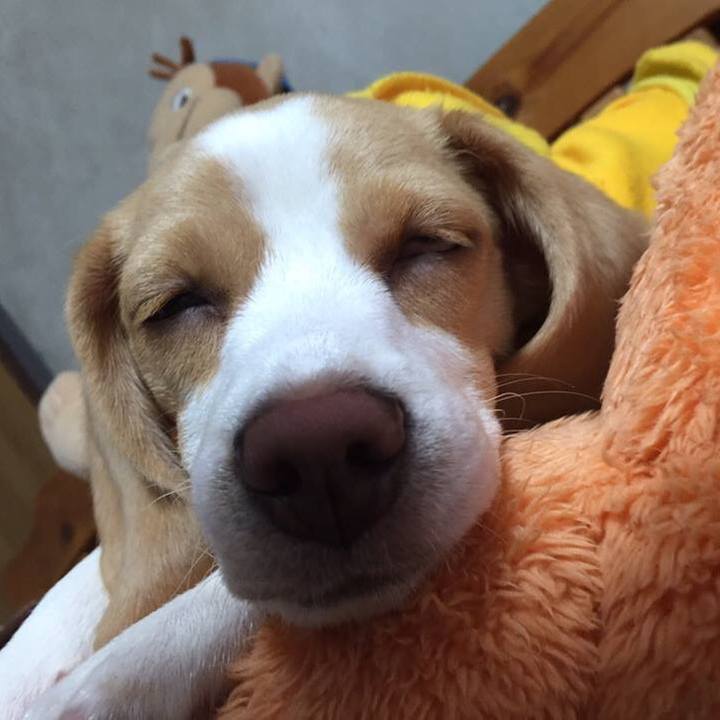 76d7c4a3 9c7e 4366 afb0 ec419e60c8cb 1564266171468