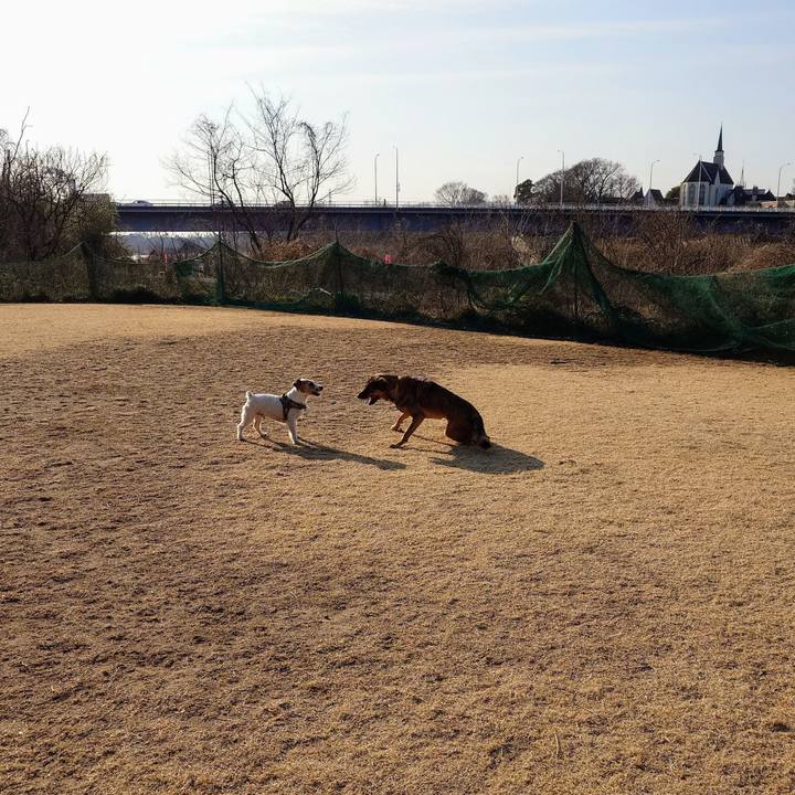 76d7c675 c4a9 48aa b78a c37ac7b2e5c0 1738374935223