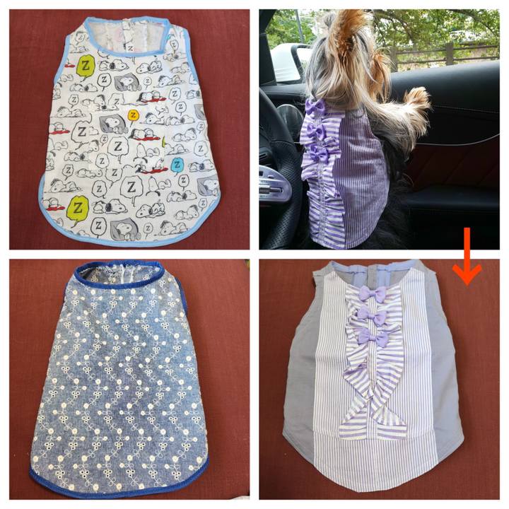 76d809e7 26c3 4f16 9bf8 d23e90ad740a 1720665262885