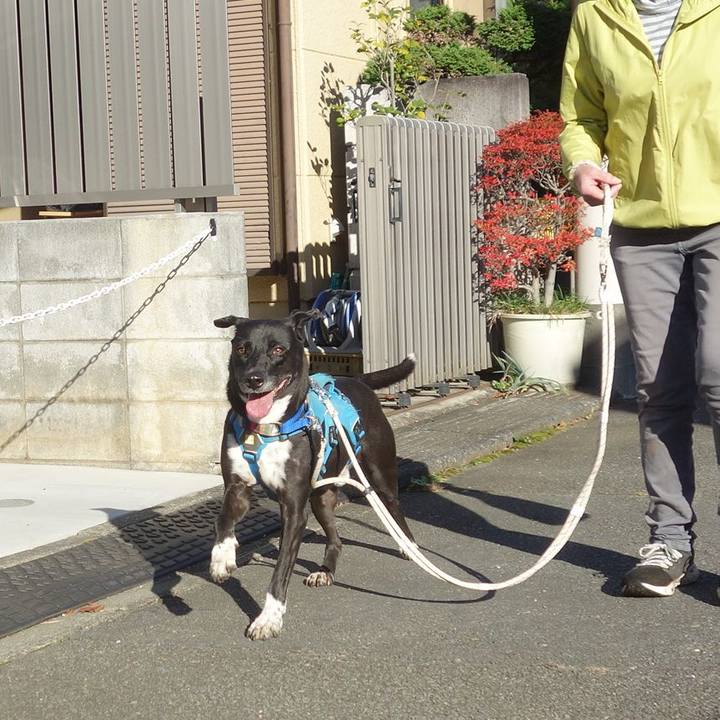 76d83325 1978 49da 9d23 7b143bf8b32e 1636768438947