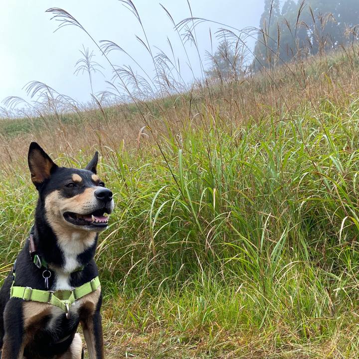 76d84e1e eaaa 408f bbd8 cf07177ba2de 1634172637935