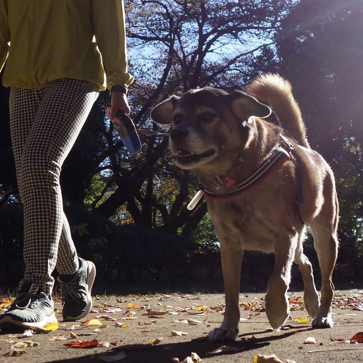 76d866d8 18c4 4fff 8d37 a06453ba5794 1621038890009