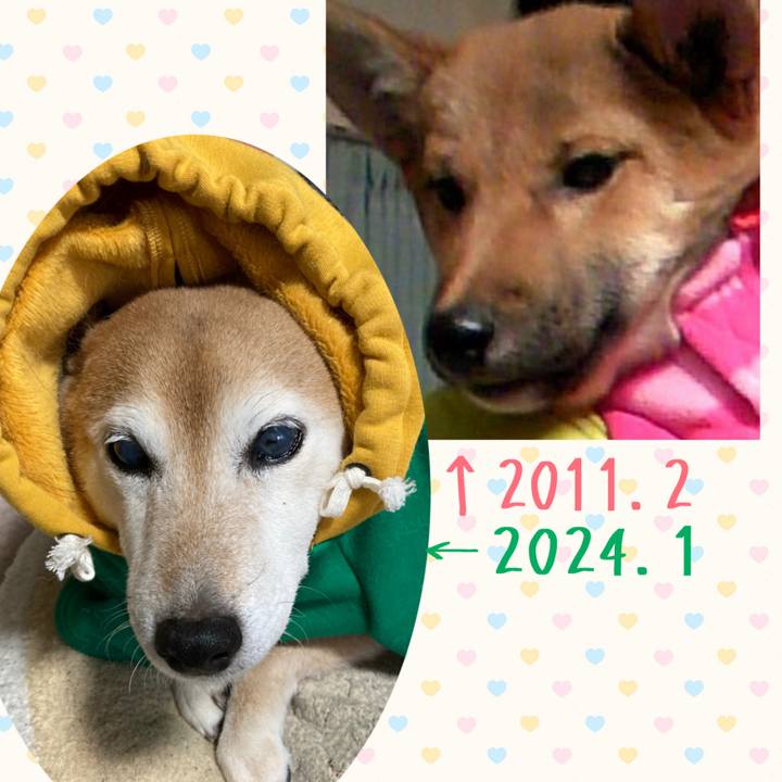 76d86836 2260 4793 9b22 e31db80685b4 1705324655929