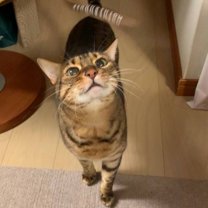 76d86a8d 71ec 4e12 bb6d 137df03318cd 1577230276296