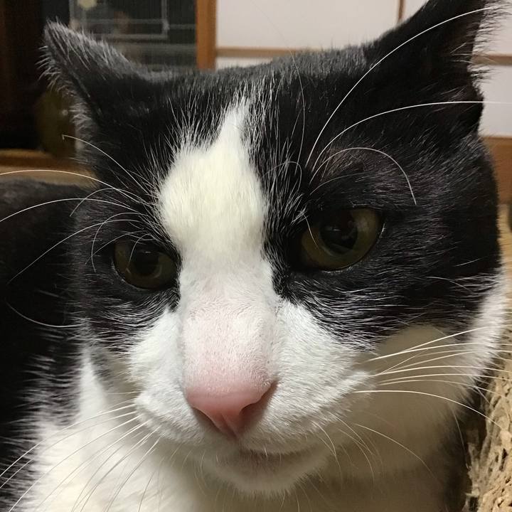 76d86d85 0489 4901 9d02 a399cb71a31e 1742038991901