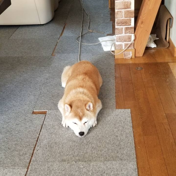 76d8ba04 8dc8 48dd a19a 0bf6781adec7 1628029364455