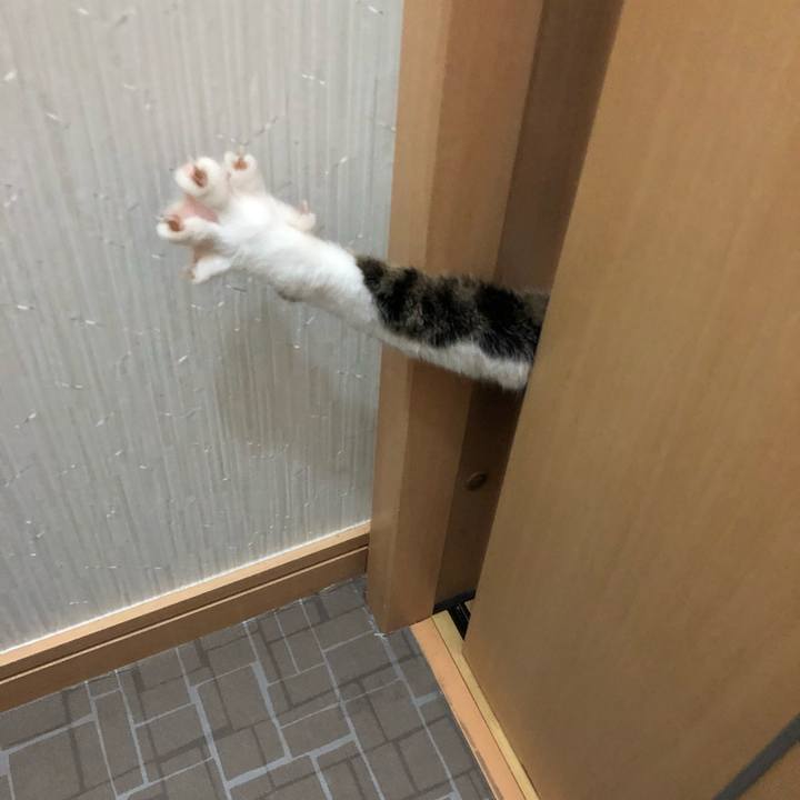 76d8ba37 7351 4bb3 b6ad 8c870daa8ff8 1521525110248