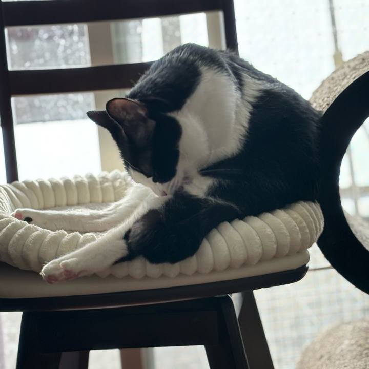 76d8bf86 4f31 45db 9388 7f5461249bbd 1763686627177