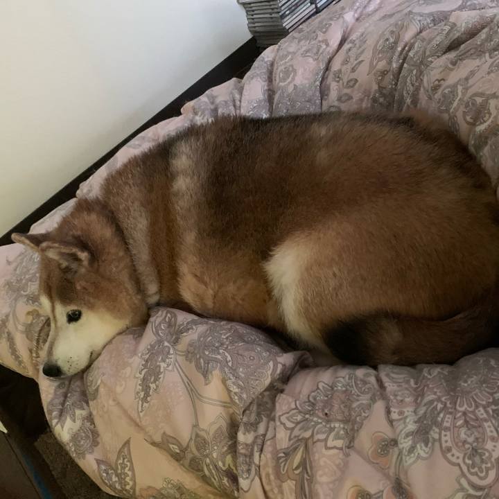 76d8c0d6 eec5 4be2 aef2 0e25e443d898 1582425238931