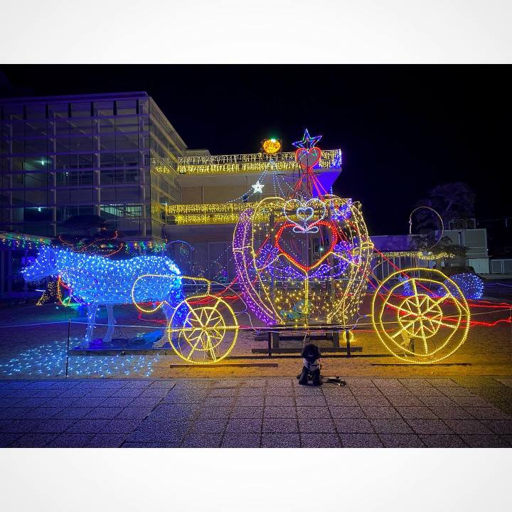 76d8c732 c598 4807 a88a 19dc35af12da 1644846798991