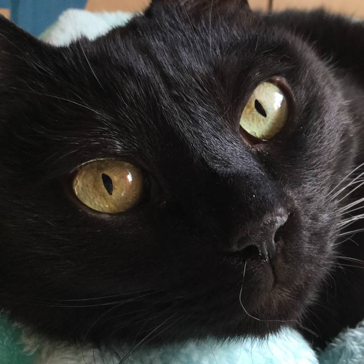 76d8f875 9242 4ae6 8ab3 d342e203e5ba 1587439566429