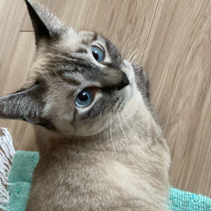 76d8fe5b 2b71 4d58 8029 37f6581b76ca 1721008318808