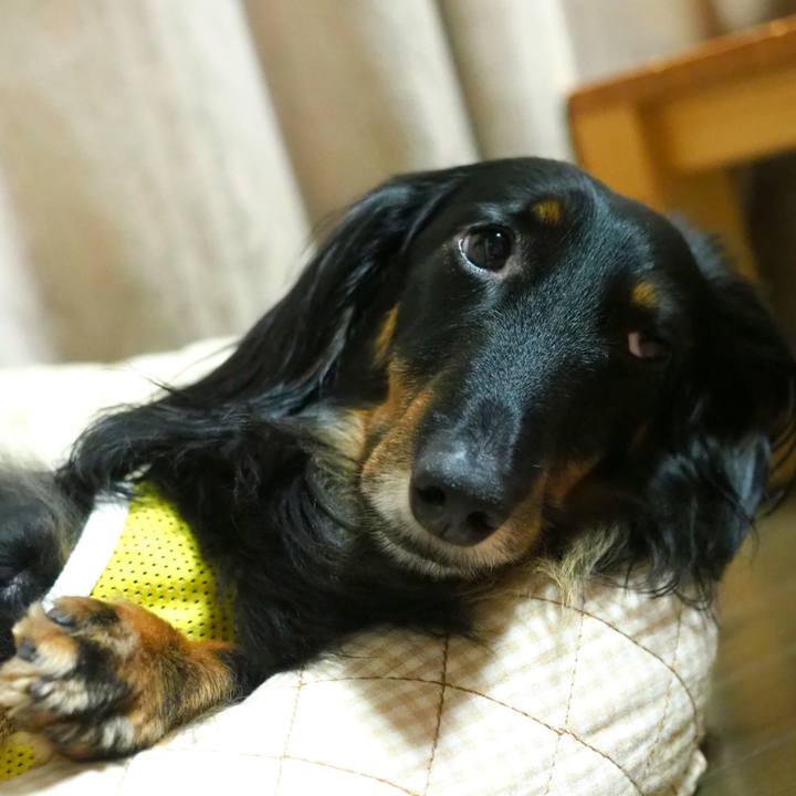 76d90cf1 55c7 4e67 ae78 6ae67a584b43 1628339427037