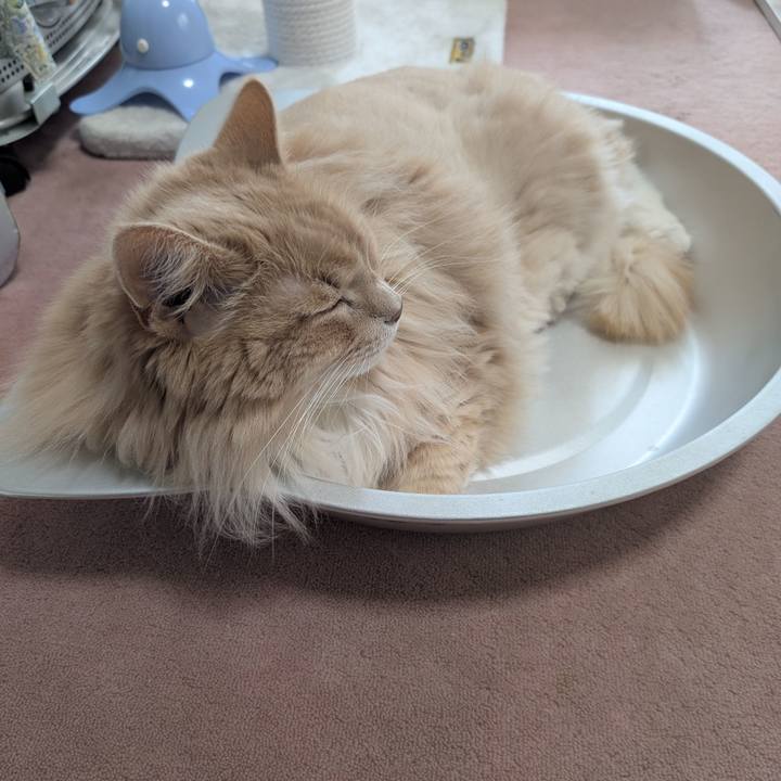 76d94654 f10d 4e89 a1a9 3ffc47068771 1754963496427