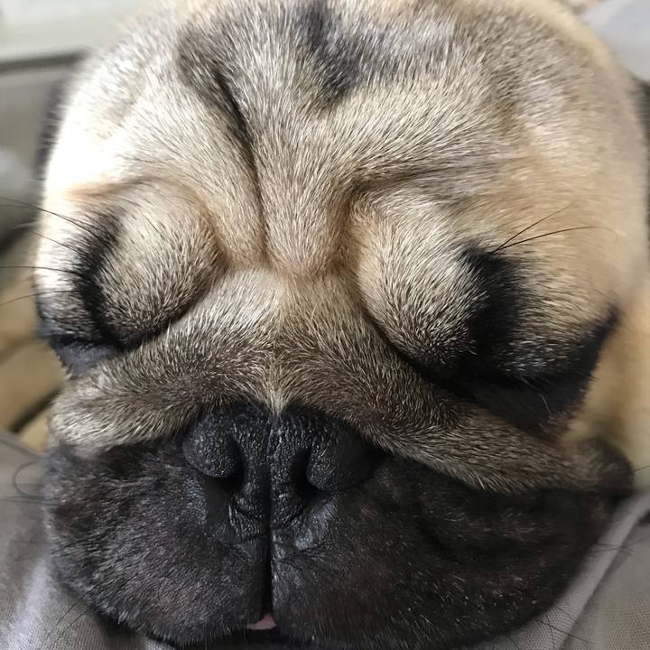 76d94fc3 dc50 41cb a32f 04109005c881 1560650807978