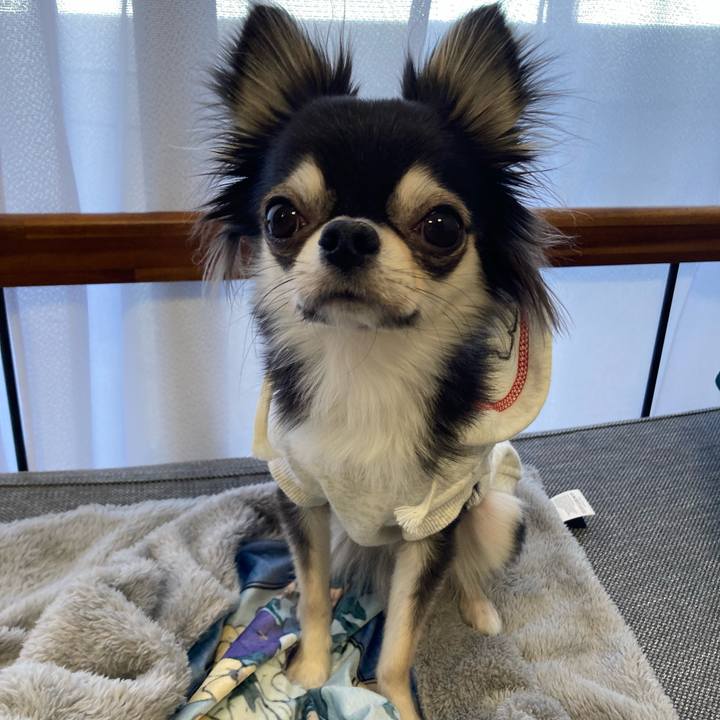 76d98dc8 2c8a 42de b1a3 9df74afe0735 1641054827447