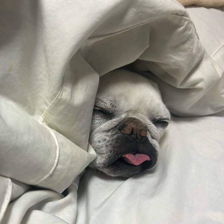 76d9be2f 404b 4687 a7ed 2bd95586ddc3 1704785747540