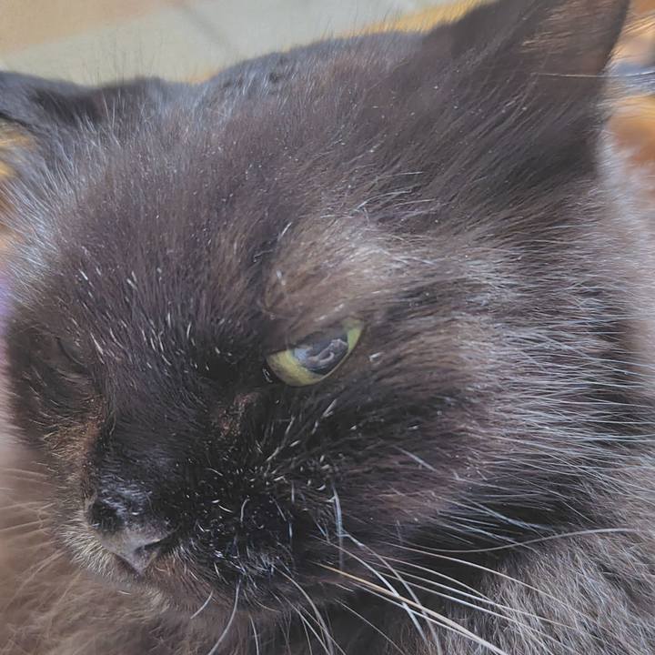 76da5b7e ffda 4ee4 9389 e6756bf0343e 1758719693989