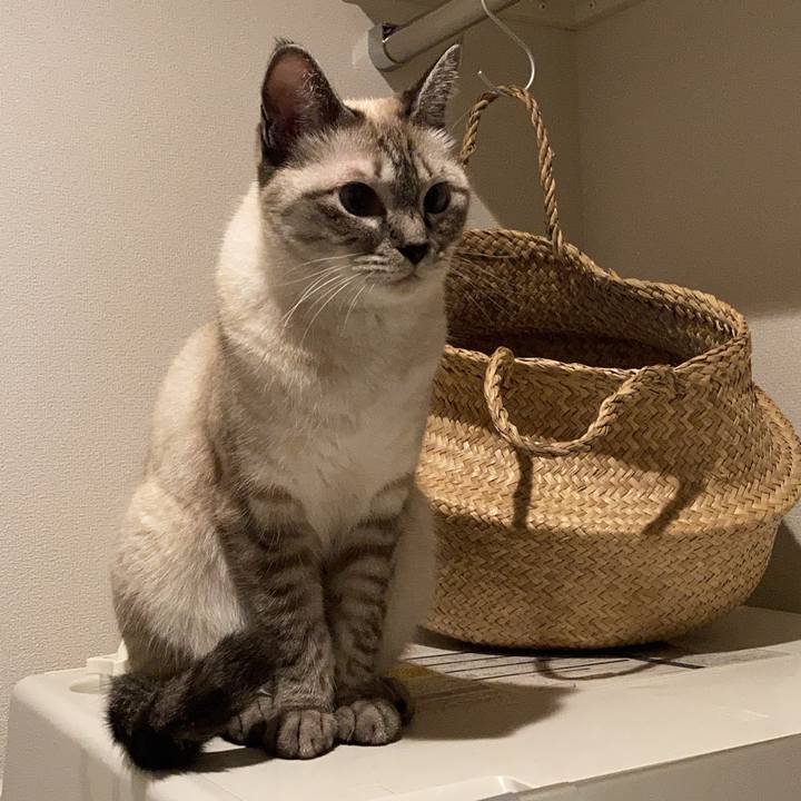 76da804f 7b1d 4767 97a8 58a1eff2eee8 1629111912293