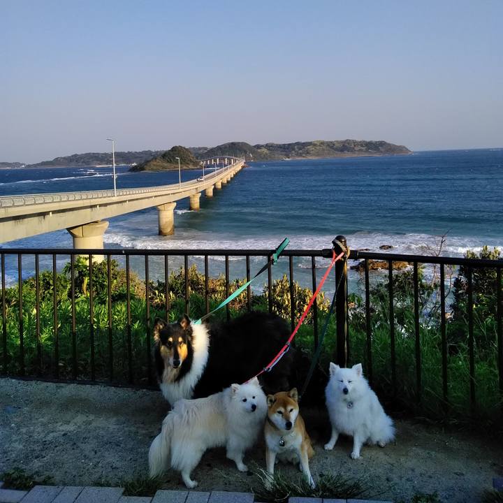 76da866f a9f2 4d32 b99a ea726cdabf3a 1525421382958