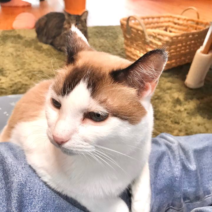 76daa9af 256f 41a6 9b09 9d1b95ffeb57 1572070942858