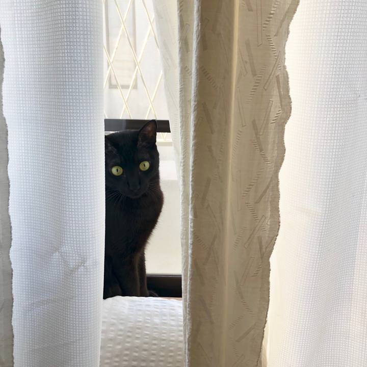 76daeef4 4cfb 4f07 9931 2fb7305261a0 1545351334314