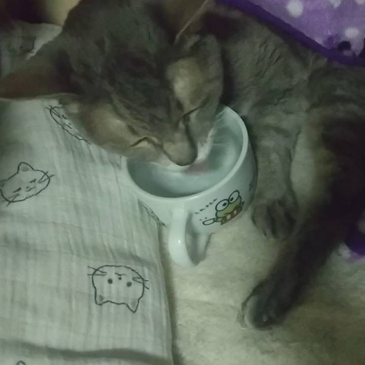 76db0acd dfc4 4cd7 8bcf 22753a689111 1698682656577