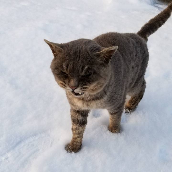 76db414c fd36 40e7 9d65 3bcb650e88a0 1547040722697